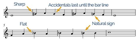 What Is Accidental in Music: A Delve into the Unpredictable Elements