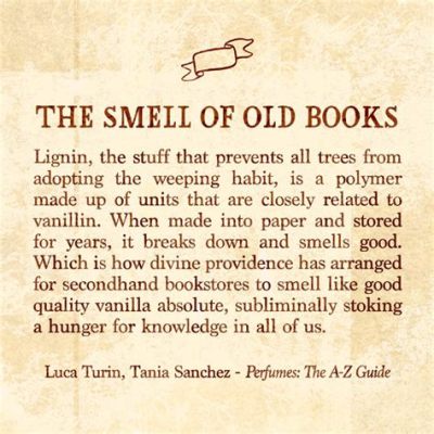 What Is the Smell of Old Books Called and the Enchantment of Knowledge